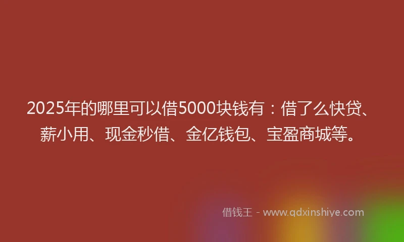 2025年的哪里可以借5000块钱有：借了么快贷、薪小用、现金秒借、金亿钱包、宝盈商城等。