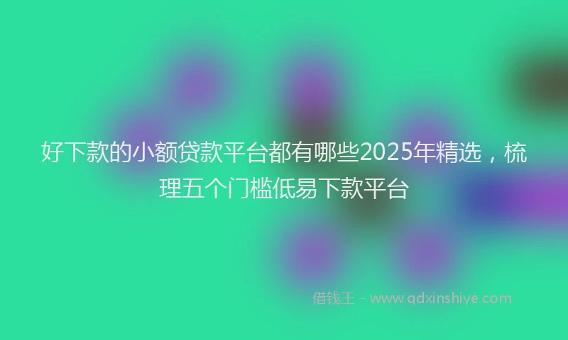 好下款的小额贷款平台都有哪些2025年精选，梳理五个门槛低易下款平台