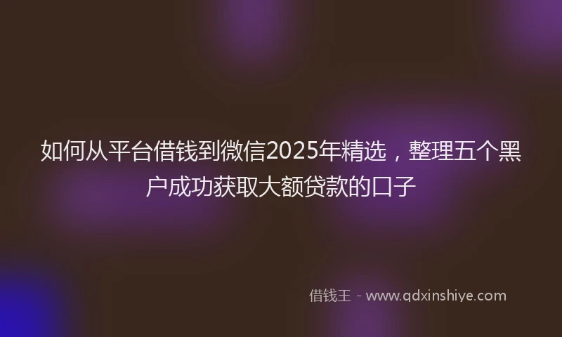 如何从平台借钱到微信2025年精选，整理五个黑户成功获取大额贷款的口子