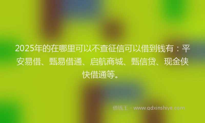 2025年的在哪里可以不查征信可以借到钱有：平安易借、甄易借通、启航商城、甄信贷、现金侠快借通等。
