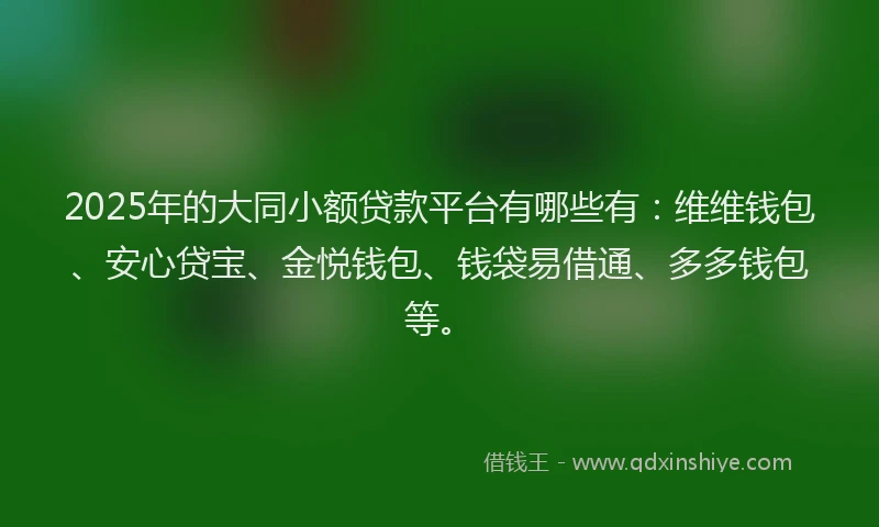 2025年的大同小额贷款平台有哪些有：维维钱包、安心贷宝、金悦钱包、钱袋易借通、多多钱包等。