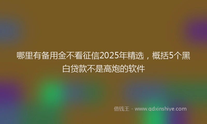 哪里有备用金不看征信2025年精选，概括5个黑白贷款不是高炮的软件