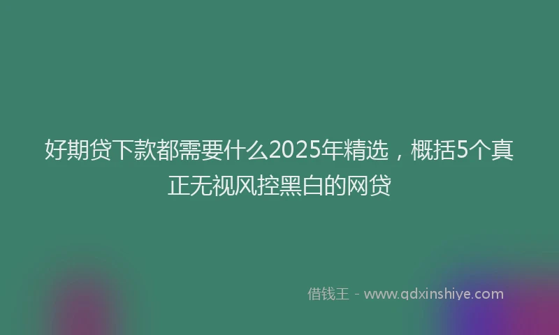 好期贷下款都需要什么2025年精选，概括5个真正无视风控黑白的网贷