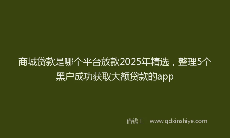 商城贷款是哪个平台放款2025年精选，整理5个黑户成功获取大额贷款的app