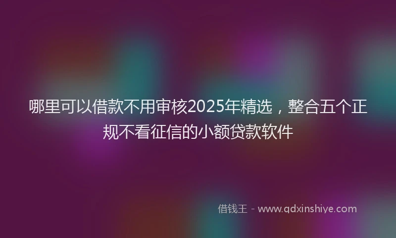 哪里可以借款不用审核2025年精选，整合五个正规不看征信的小额贷款软件