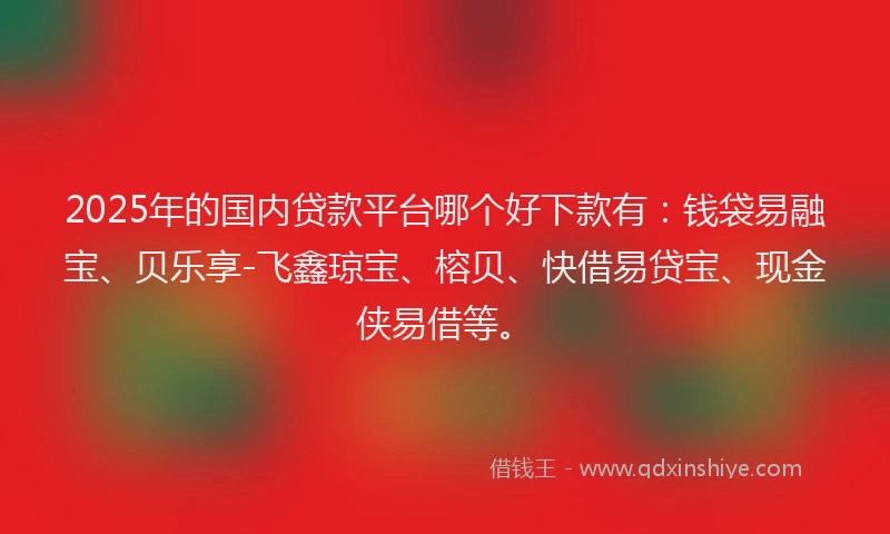 2025年的国内贷款平台哪个好下款有：钱袋易融宝、贝乐享-飞鑫琼宝、榕贝、快借易贷宝、现金侠易借等。
