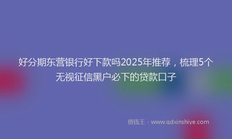 好分期东营银行好下款吗2025年推荐，梳理5个无视征信黑户必下的贷款口子