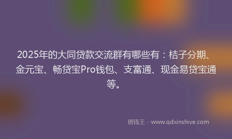 2025年的大同贷款交流群有哪些有：桔子分期、金元宝、畅贷宝Pro钱包、支富通、现金易贷宝通等。