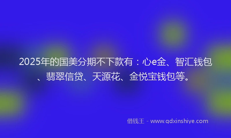 2025年的国美分期不下款有：心e金、智汇钱包、翡翠信贷、天源花、金悦宝钱包等。