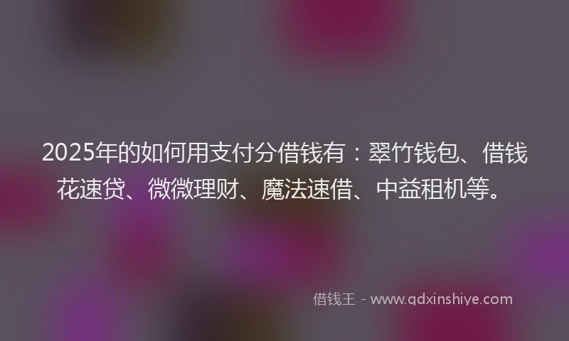 2025年的如何用支付分借钱有：翠竹钱包、借钱花速贷、微微理财、魔法速借、中益租机等。