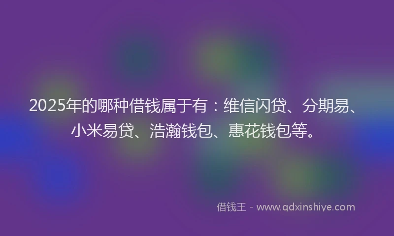2025年的哪种借钱属于有：维信闪贷、分期易、小米易贷、浩瀚钱包、惠花钱包等。