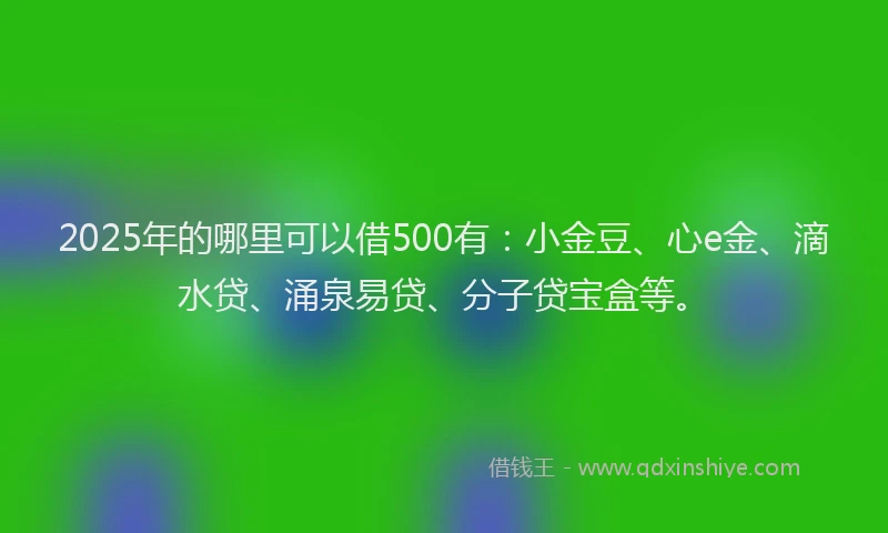2025年的哪里可以借500有：小金豆、心e金、滴水贷、涌泉易贷、分子贷宝盒等。