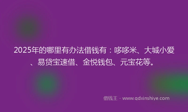 2025年的哪里有办法借钱有：哆哆米、大城小爱、易贷宝速借、金悦钱包、元宝花等。