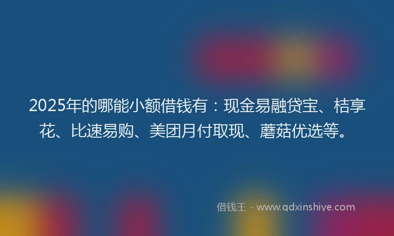 2025年的哪能小额借钱有：现金易融贷宝、桔享花、比速易购、美团月付取现、蘑菇优选等。