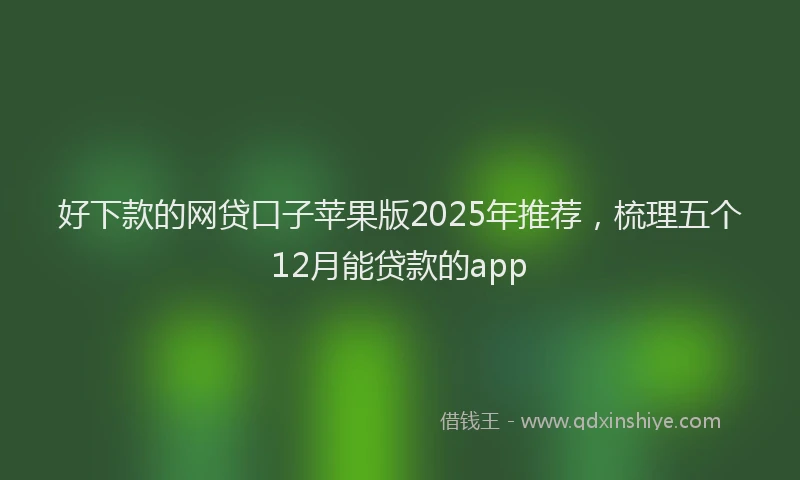 好下款的网贷口子苹果版2025年推荐，梳理五个12月能贷款的app