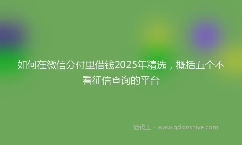 如何在微信分付里借钱2025年精选，概括五个不看征信查询的平台