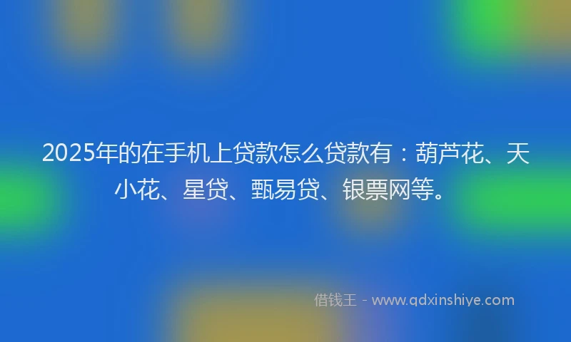 2025年的在手机上贷款怎么贷款有：葫芦花、天小花、星贷、甄易贷、银票网等。