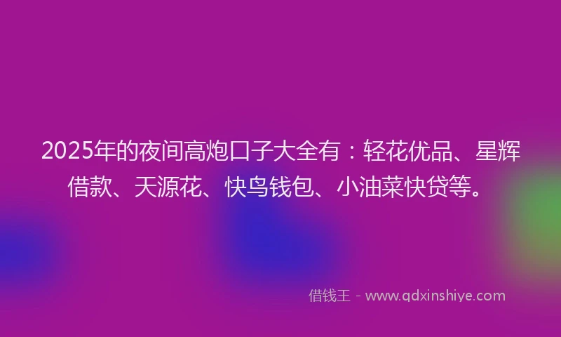 2025年的夜间高炮口子大全有：轻花优品、星辉借款、天源花、快鸟钱包、小油菜快贷等。