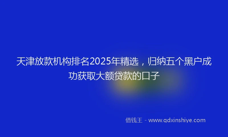 天津放款机构排名2025年精选，归纳五个黑户成功获取大额贷款的口子