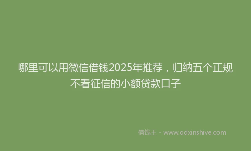 哪里可以用微信借钱2025年推荐，归纳五个正规不看征信的小额贷款口子