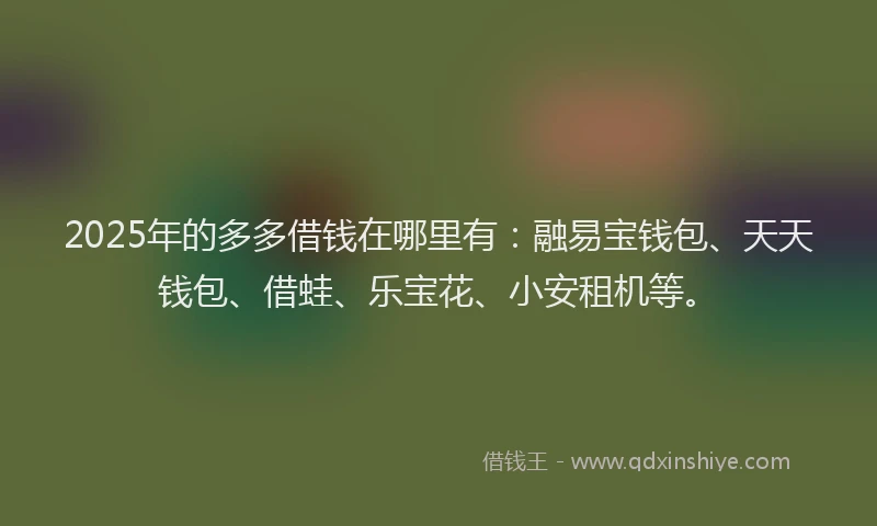2025年的多多借钱在哪里有：融易宝钱包、天天钱包、借蛙、乐宝花、小安租机等。