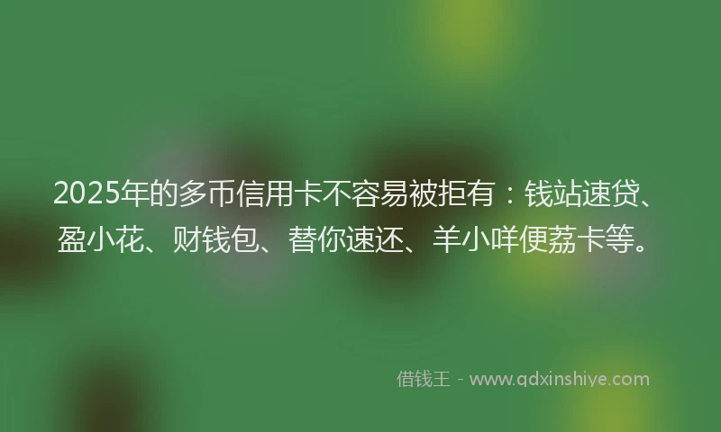 2025年的多币信用卡不容易被拒有：钱站速贷、盈小花、财钱包、替你速还、羊小咩便荔卡等。