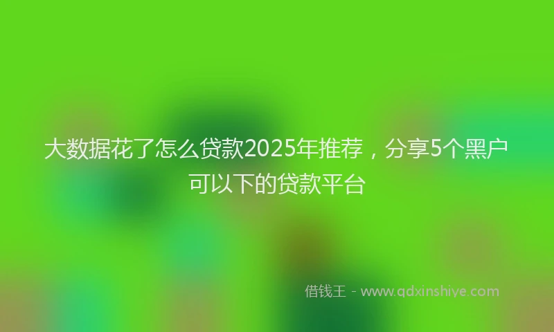 大数据花了怎么贷款2025年推荐，分享5个黑户可以下的贷款平台