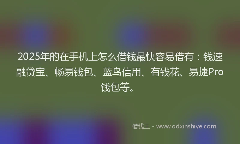 2025年的在手机上怎么借钱最快容易借有：钱速融贷宝、畅易钱包、蓝鸟信用、有钱花、易捷Pro钱包等。
