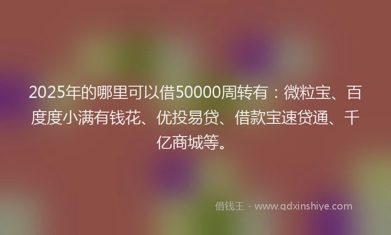 2025年的哪里可以借50000周转有：微粒宝、百度度小满有钱花、优投易贷、借款宝速贷通、千亿商城等。