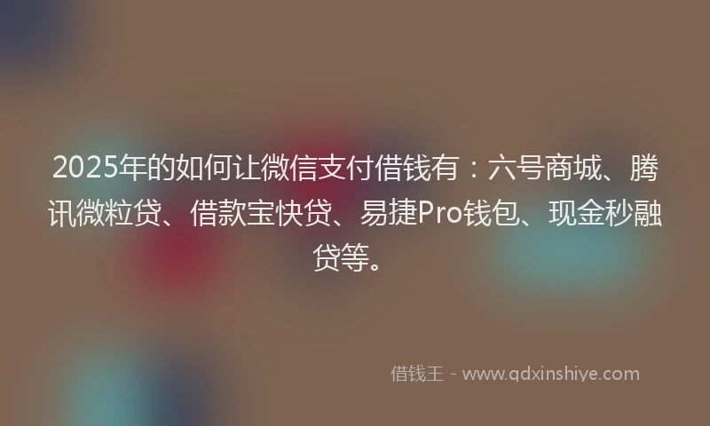 2025年的如何让微信支付借钱有：六号商城、腾讯微粒贷、借款宝快贷、易捷Pro钱包、现金秒融贷等。