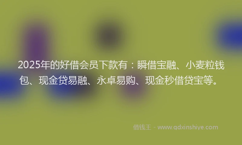 2025年的好借会员下款有：瞬借宝融、小麦粒钱包、现金贷易融、永卓易购、现金秒借贷宝等。