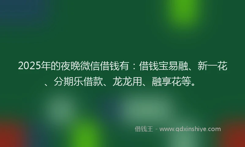 2025年的夜晚微信借钱有：借钱宝易融、新一花、分期乐借款、龙龙用、融享花等。