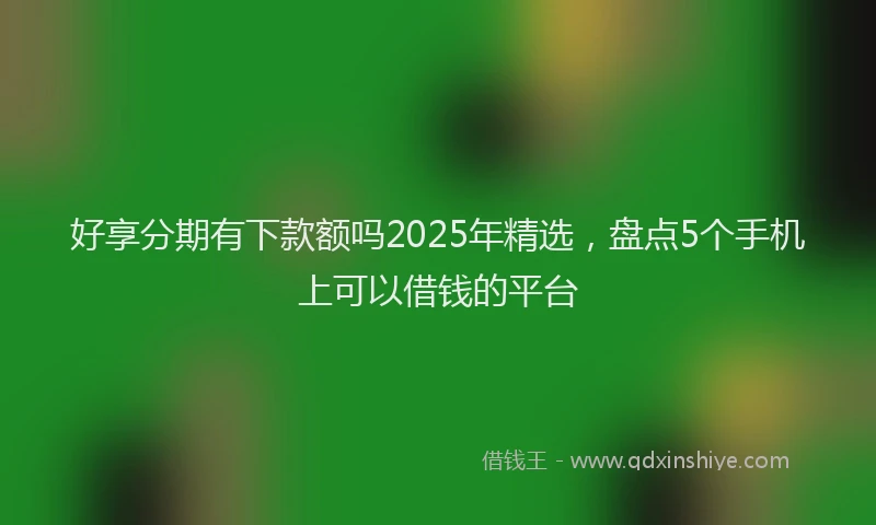 好享分期有下款额吗2025年精选，盘点5个手机上可以借钱的平台