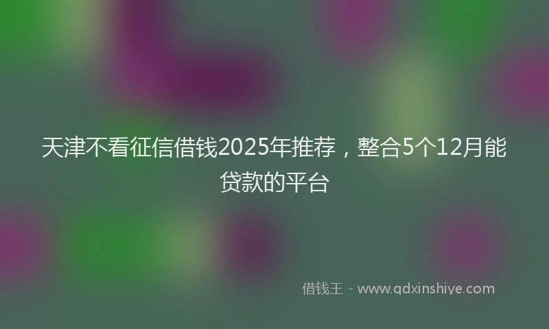 天津不看征信借钱2025年推荐，整合5个12月能贷款的平台