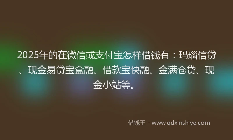 2025年的在微信或支付宝怎样借钱有：玛瑙信贷、现金易贷宝盒融、借款宝快融、金满仓贷、现金小站等。