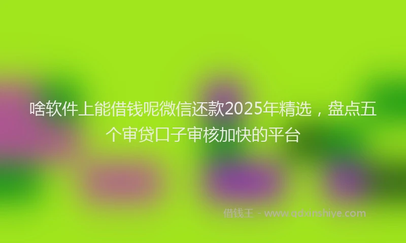 啥软件上能借钱呢微信还款2025年精选，盘点五个审贷口子审核加快的平台