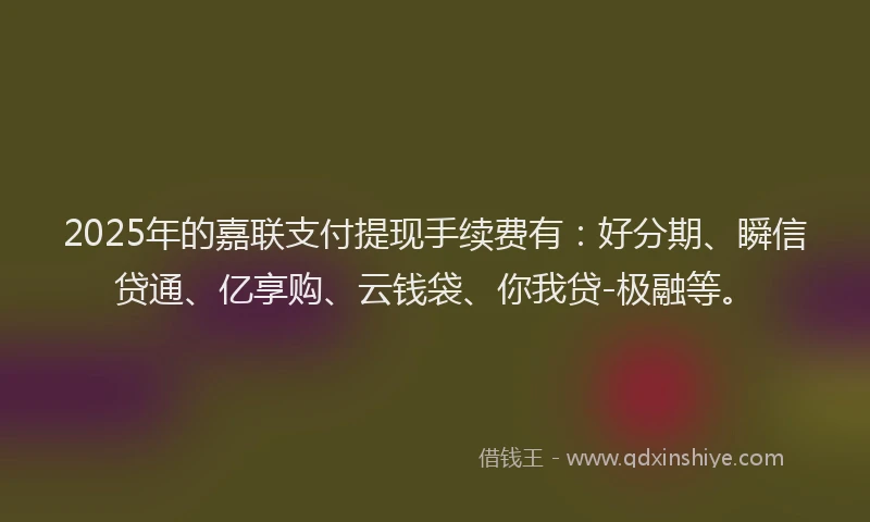 2025年的嘉联支付提现手续费有：好分期、瞬信贷通、亿享购、云钱袋、你我贷-极融等。