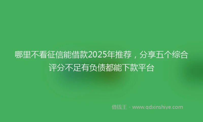 哪里不看征信能借款2025年推荐，分享五个综合评分不足有负债都能下款平台