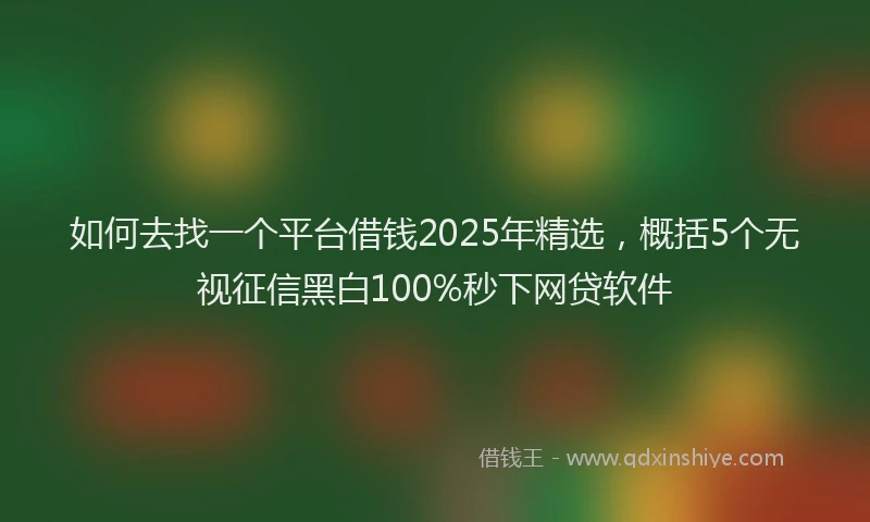如何去找一个平台借钱2025年精选，概括5个无视征信黑白100%秒下网贷软件