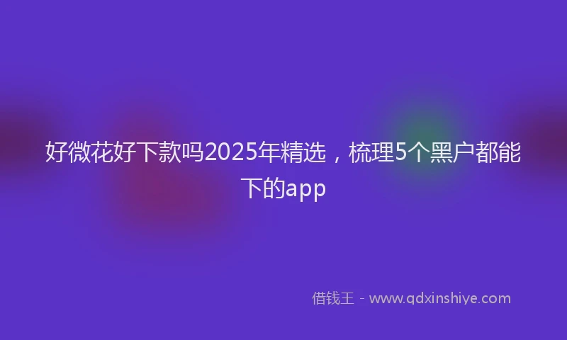 好微花好下款吗2025年精选，梳理5个黑户都能下的app