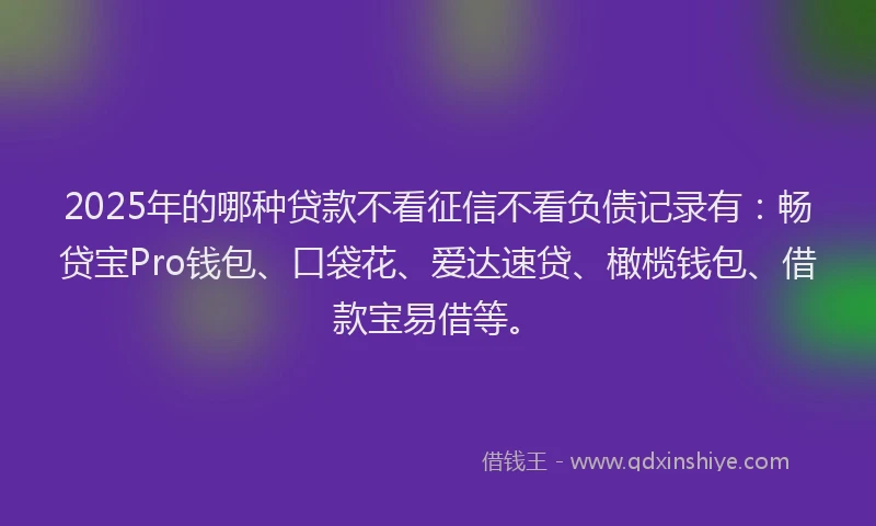 2025年的哪种贷款不看征信不看负债记录有：畅贷宝Pro钱包、口袋花、爱达速贷、橄榄钱包、借款宝易借等。