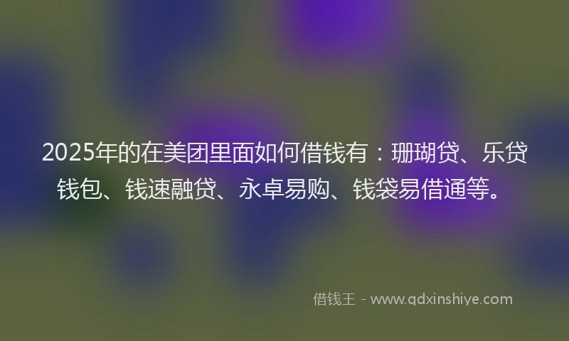 2025年的在美团里面如何借钱有：珊瑚贷、乐贷钱包、钱速融贷、永卓易购、钱袋易借通等。