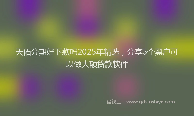 天佑分期好下款吗2025年精选，分享5个黑户可以做大额贷款软件