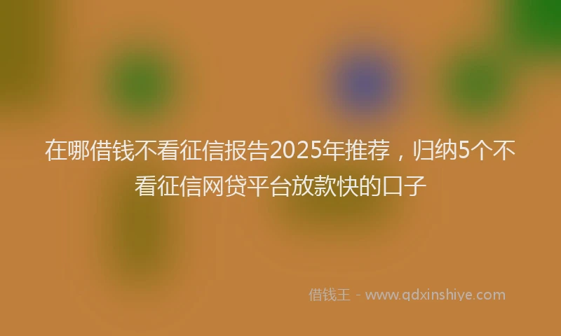 在哪借钱不看征信报告2025年推荐，归纳5个不看征信网贷平台放款快的口子