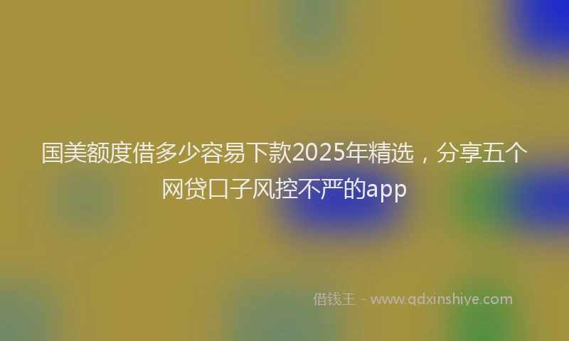 国美额度借多少容易下款2025年精选，分享五个网贷口子风控不严的app