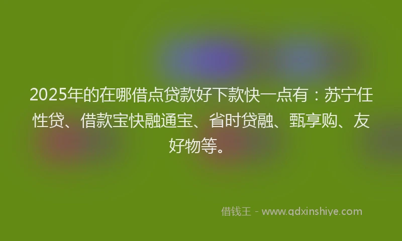 2025年的在哪借点贷款好下款快一点有：苏宁任性贷、借款宝快融通宝、省时贷融、甄享购、友好物等。