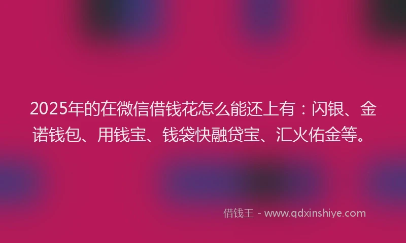 2025年的在微信借钱花怎么能还上有：闪银、金诺钱包、用钱宝、钱袋快融贷宝、汇火佑金等。