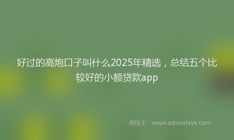 好过的高炮口子叫什么2025年精选，总结五个比较好的小额贷款app