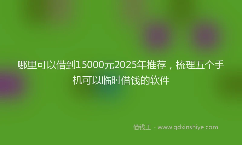 哪里可以借到15000元2025年推荐，梳理五个手机可以临时借钱的软件