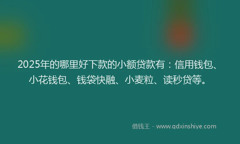 2025年的哪里好下款的小额贷款有：信用钱包、小花钱包、钱袋快融、小麦粒、读秒贷等。